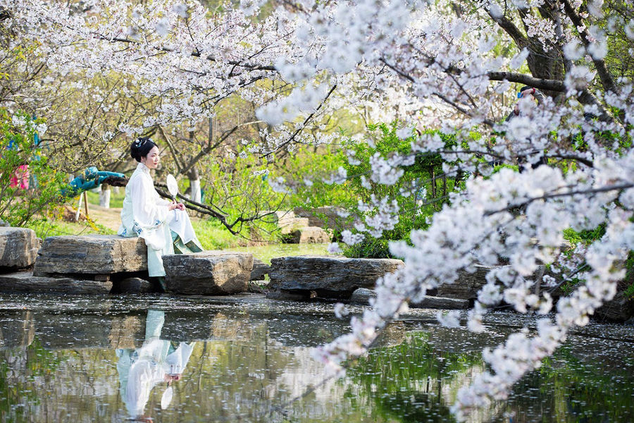 Девушка во время цветения сакуры в&nbsp;парке Мин Сяолин в&nbsp;Нанкине (Китай), март 2021 года 
