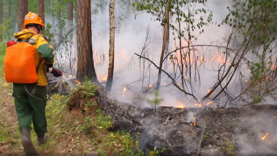 Лесные пожары в Красноярском крае, 1 августа 2019 года