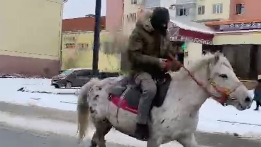 В Якутске по свежеуложенному асфальту пробежал табун лошадей