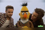 Гарри Стайлс и Лиам Пейн из One Direction во время съемок проекта «Улица Сезам: спой песню с алфавитом!». 25 июня 2014 года.