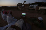 Бедуины смотрят матч чемпионата мира по футболу на рынке верблюдов в Дабе, Саудовская Аравия. 18 июня 2014 года