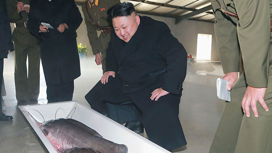 Ким Чен Ын во время посещения рыбной фермы, фотография опубликована в&nbsp;декабре 2014&nbsp;года
