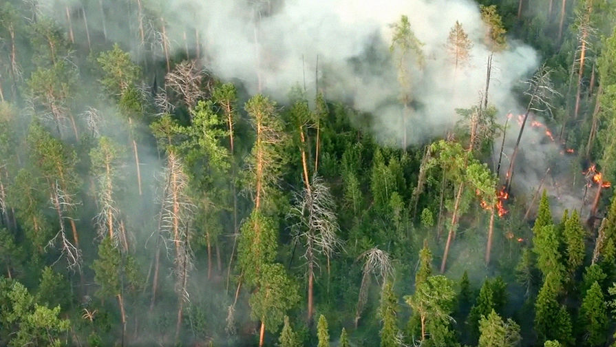 Лесные пожары в&nbsp;Красноярском крае, 1 августа 2019 года