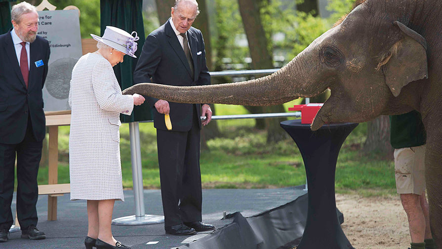 Королева Великобритании Елизавета II с&nbsp;герцогом Эдинбургским Филиппом в&nbsp;Уипснейдском зоопарке