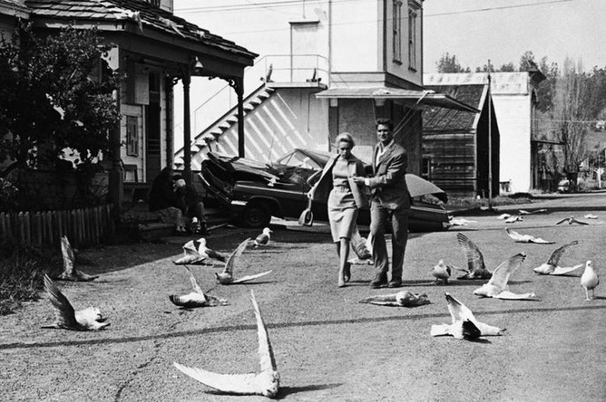 Кадр из фильма «Птицы» (1963)