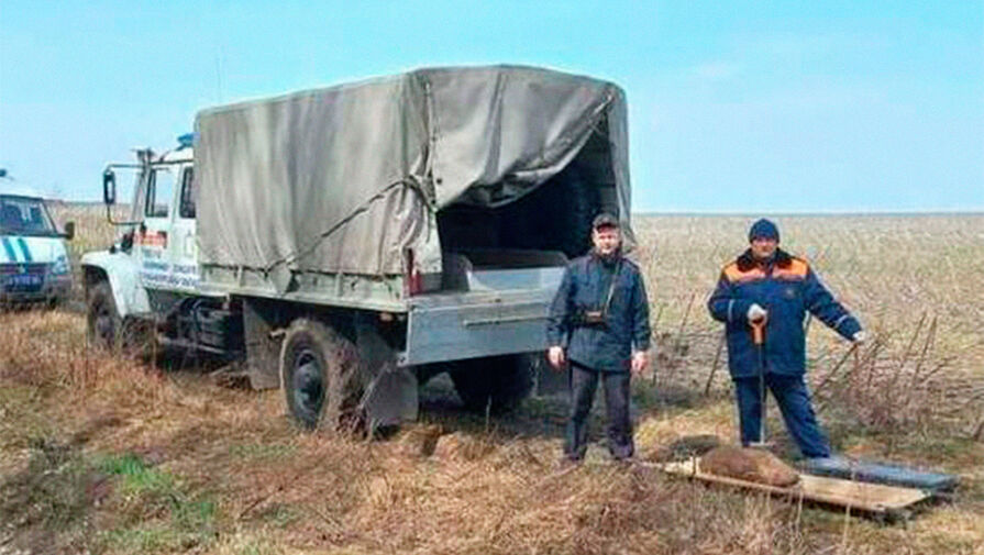 В Курской области обесточен поселок после обстрела