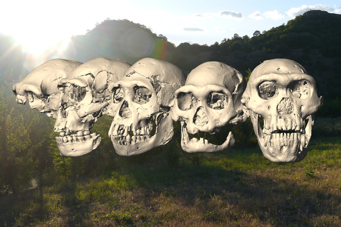 Все пять черепов, найденные в Дманиси, на фоне местного пейзажа