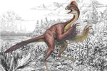  Anzu wyliei представляет собой второго по величине птицеподобного динозавра, уступая в размерах только гигантораптору. Представитель этого вида имел длину около 3,5 м, а его вес мог варьироваться от 200 до 300 кг, в то время как высота особи составляла примерно 1,5 м