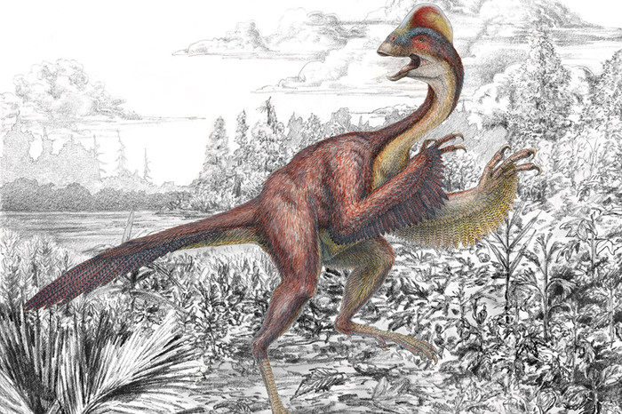  Anzu wyliei представляет собой второго по&nbsp;величине птицеподобного динозавра, уступая в&nbsp;размерах только гигантораптору. Представитель этого вида имел длину около&nbsp;3,5 м, а его вес мог варьироваться от 200&nbsp;до&nbsp;300 кг, в&nbsp;то время как высота особи составляла примерно 1,5 м