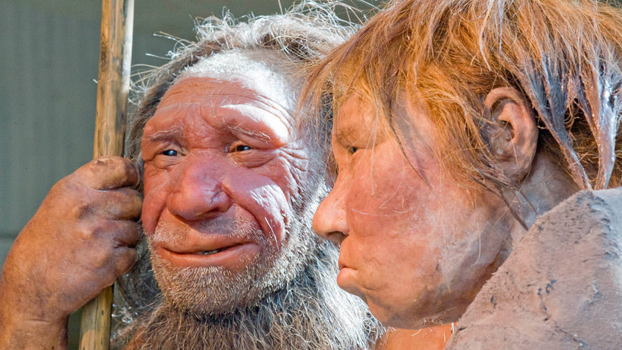 Пара неандертальцев в Неандертальском музее в Германии, 2009 год
