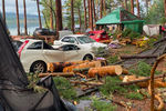 Последствия падения деревьев у озера Маслеево в Дзержинском районе Красноярского края, 5 июля 2020 года