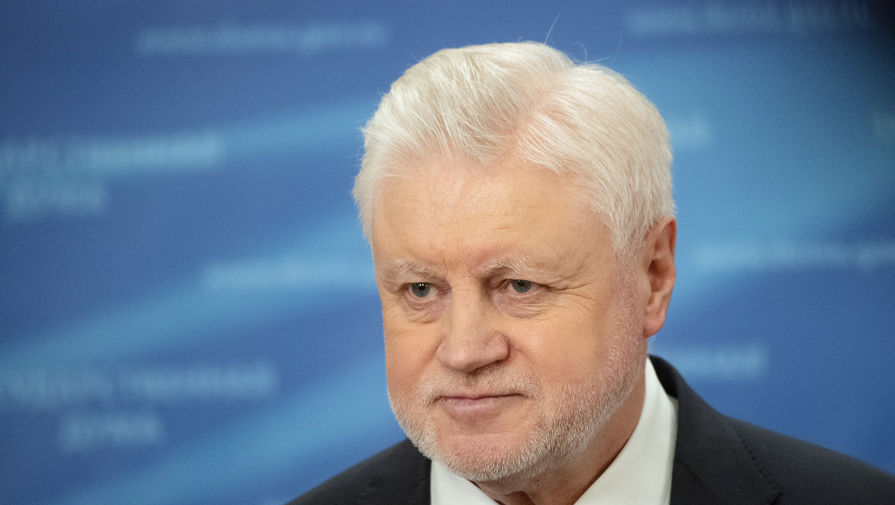 Миронов предложил ввести родительские зарплаты для неработающих россиян