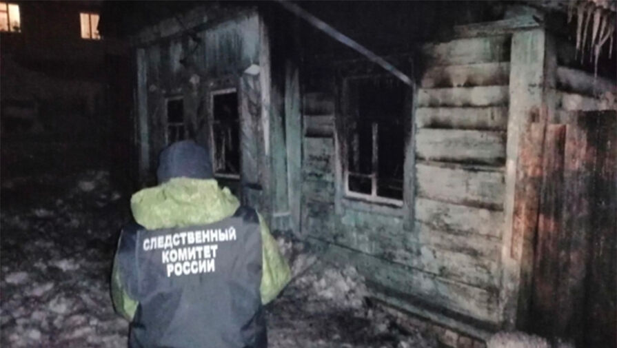 В Омской области при пожаре погибли женщина и трое маленьких детей