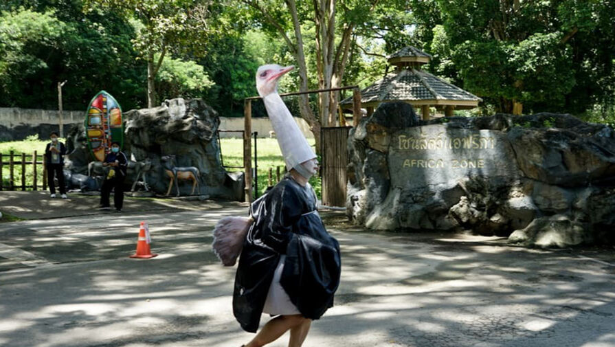 CNN: в зоопарке Таиланда провели ежегодные учения на случай побега страуса