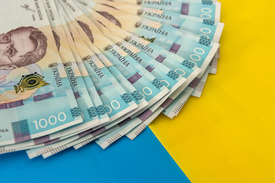 На Украине выросло число официальных миллионеров