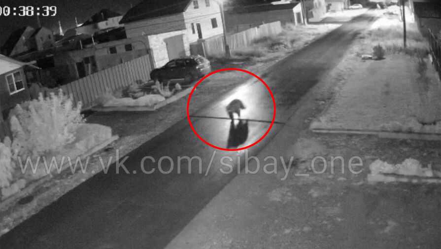 В Башкирии сняли на видео медведя, который бегает по улицам города