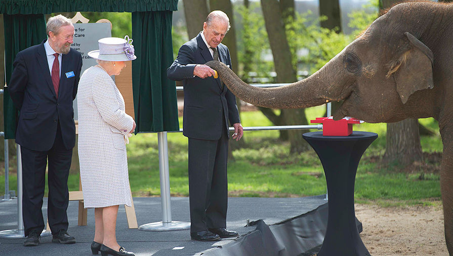 Герцог Эдинбургский Филипп кормит слоненка Елизавету в&nbsp;Уипснейдском зоопарке