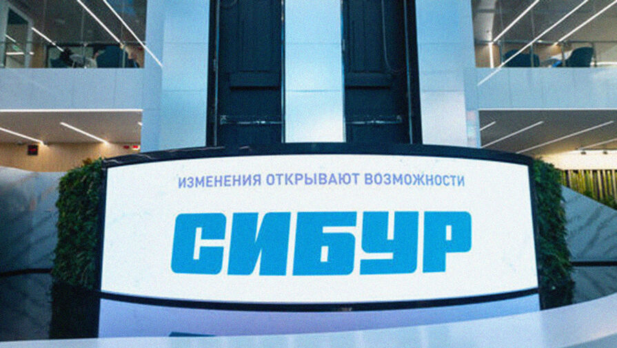 Бельгийская Solvay завершила сделку по продаже 50% в Русвиниле Сибуру за 433 млн