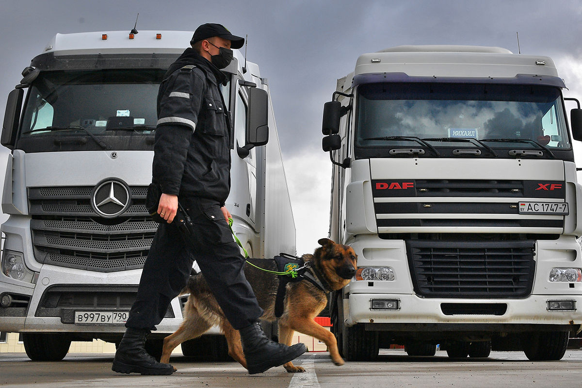 Кинолог со служебной собакой досматривают автомобили в международном пункте пропуска «Урбаны» на белорусско-латвийской границе в Браславском районе Витебской области