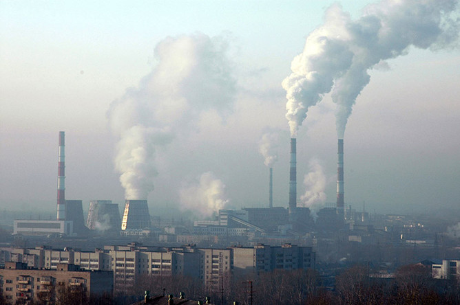 В Москве власти борются с загрязнениями воздуха, а в Подмосковье - с короедами