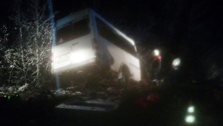 Спасатели на&nbsp;месте столкновения грузового автомобиля и пассажирского микроавтобуса в&nbsp;Килемарском районе республики Марий Эл, 16 ноября 2017 года