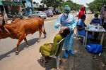 Медицинские работники проводят экспресс-тестирование на коронавирус на одной из улиц в городе Ахмадабад, сентябрь 2020 года