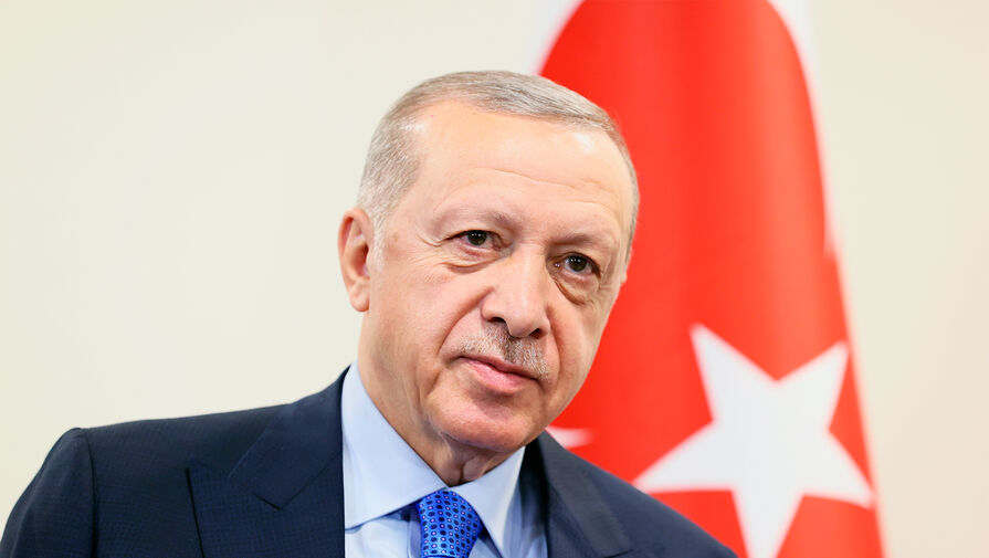Эрдоган: у Турции не будет проблем с обеспечением газа из России этой зимой