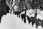 Траурное шествие с гробом В. И. Ленина в парке в Горках к железнодорожной станции. 23 января 1924 года