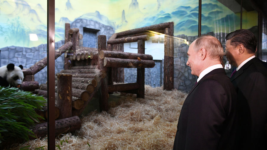 Президент России Владимир Путин и председатель КНР Си Цзиньпин во время церемонии передачи Московскому парку двух больших панд, 5 июня 2019 года