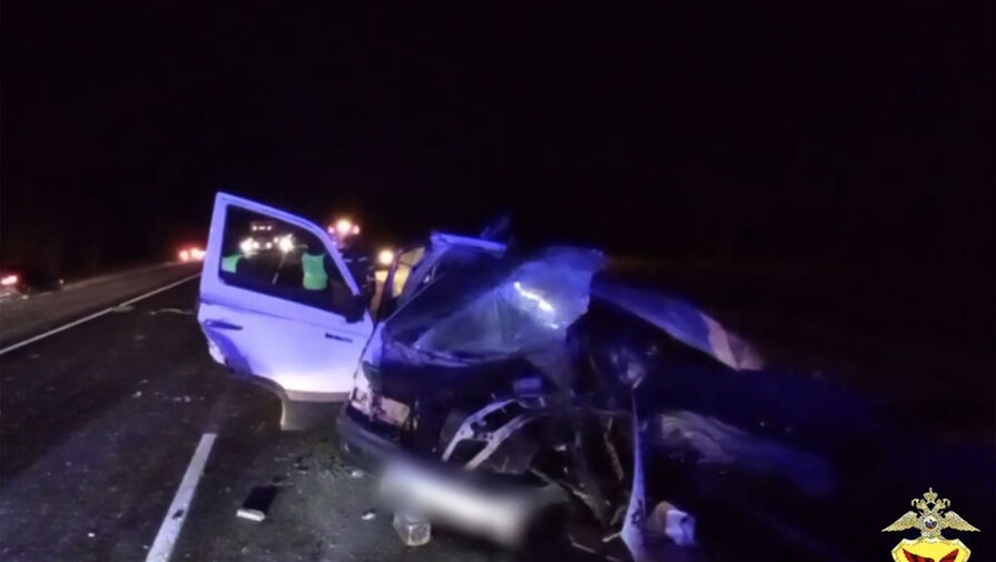 В Забайкальском крае произошло жесткое ДТП с микрогрузовиком