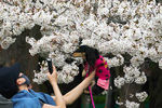 Девушка фотографирует свою собаку в парке в Токио во время цветения сакуры, март 2021 года