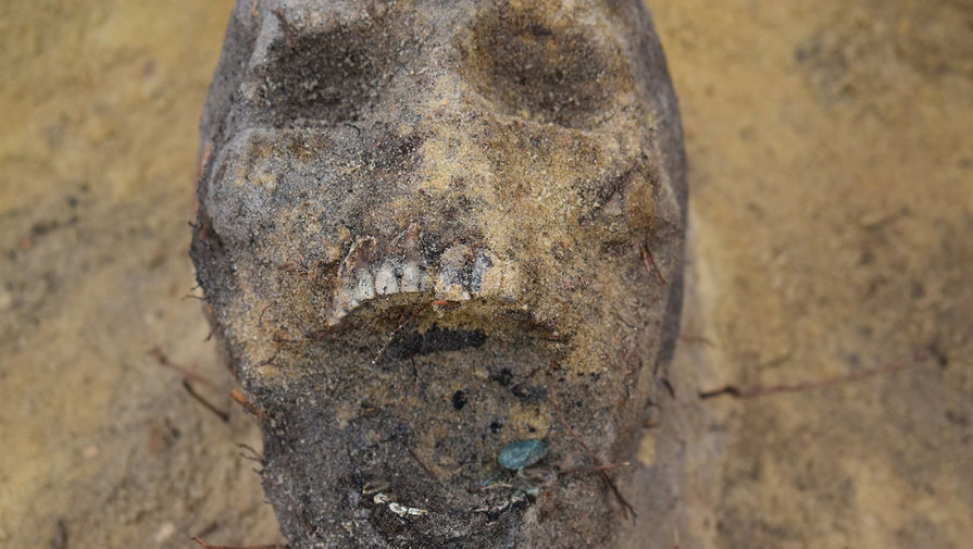 В Карелии на месте строительства туалета нашли десяток человеческих скелетов
