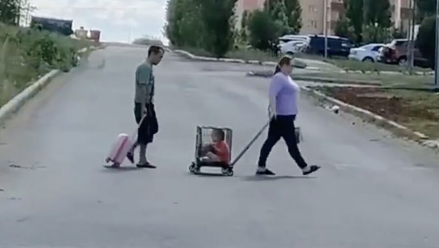 Российская полиция ищет пару, перевозившую ребенка в клетке на колесиках