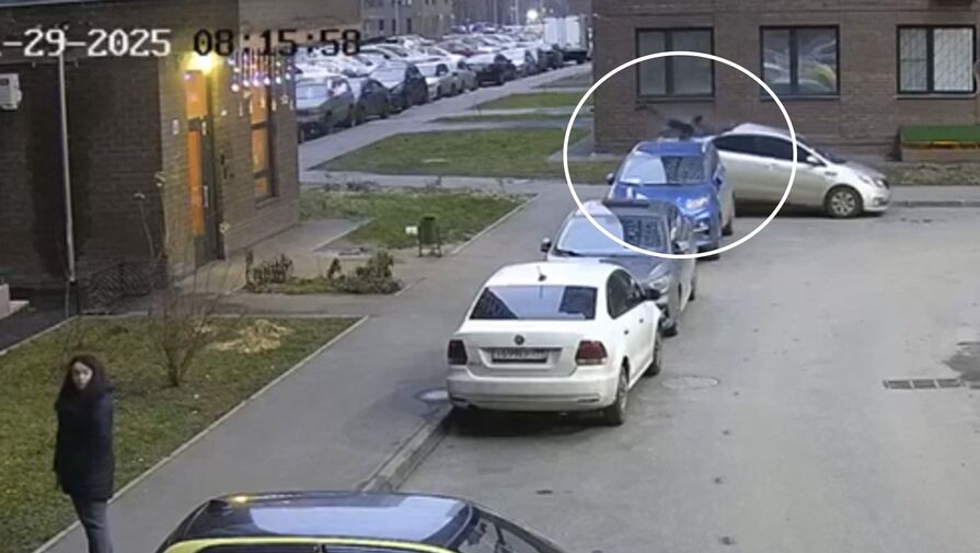 Последние секунды жизни балашихинца попали на видео, он упал на авто