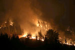 Лесные пожары в поселке Эмпедрадо в чилийской области Мауле, 24 января 2017 года