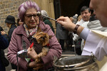 Священник благословляет собаку во время праздника Святого Антония, испанского покровителя животных, в Памплоне, Испания, 17 января 2024 года