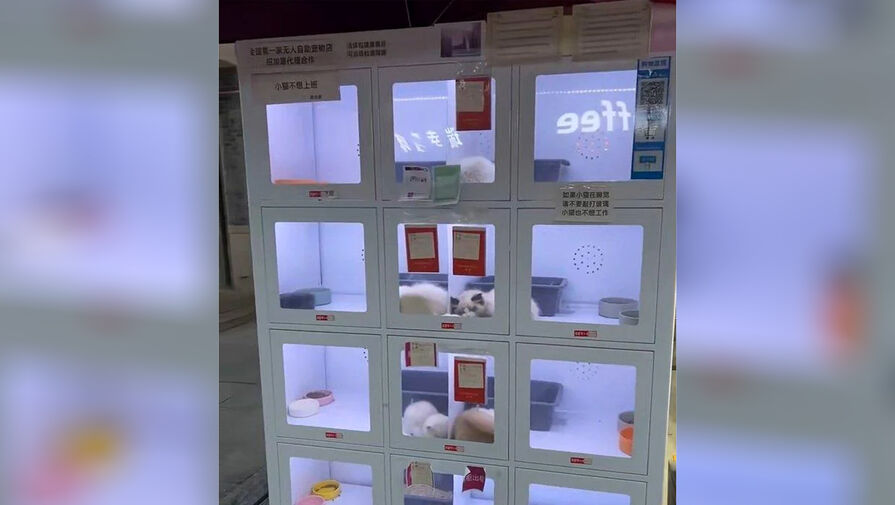 Автоматы по продаже домашних животных на улицах вызвали возмущение в Китае