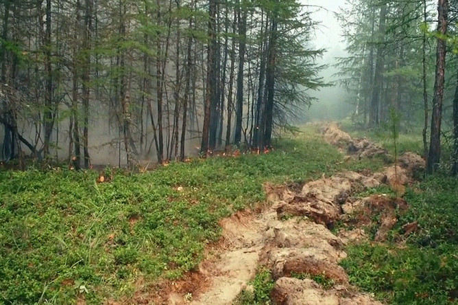 Лесные пожары в Красноярском крае, 1 августа 2019 года