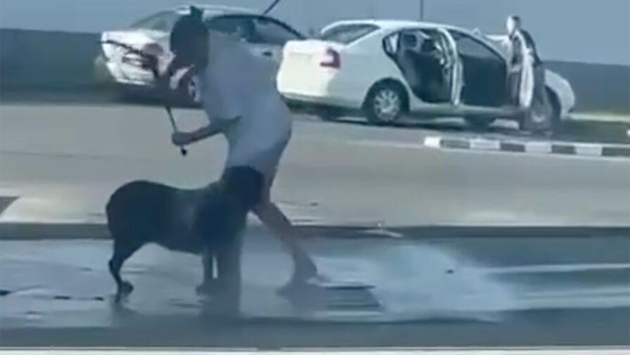 В Москве женщина помыла свою собаку на автомойке