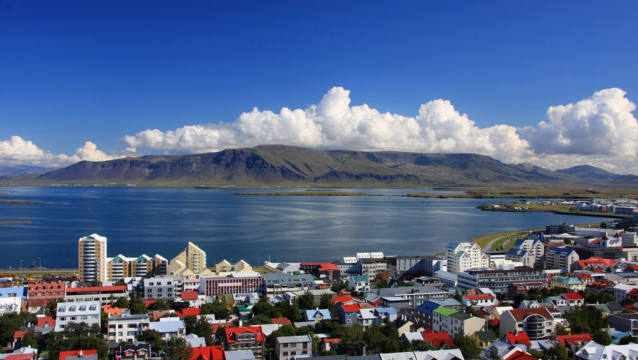 Предпринимательница Томасдоттир победила на выборах президента Исландии
