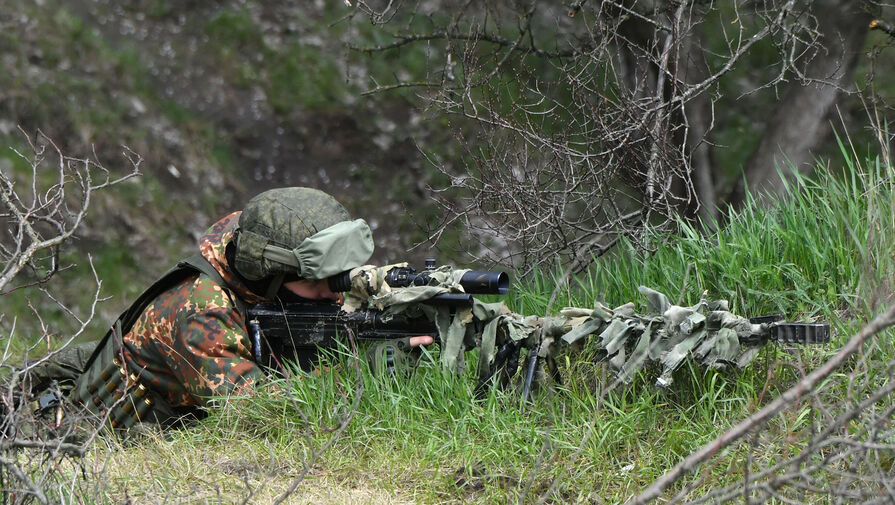 Минобороны РФ показало удар артиллеристов по укрепленным позициям ВСУ в лесу
