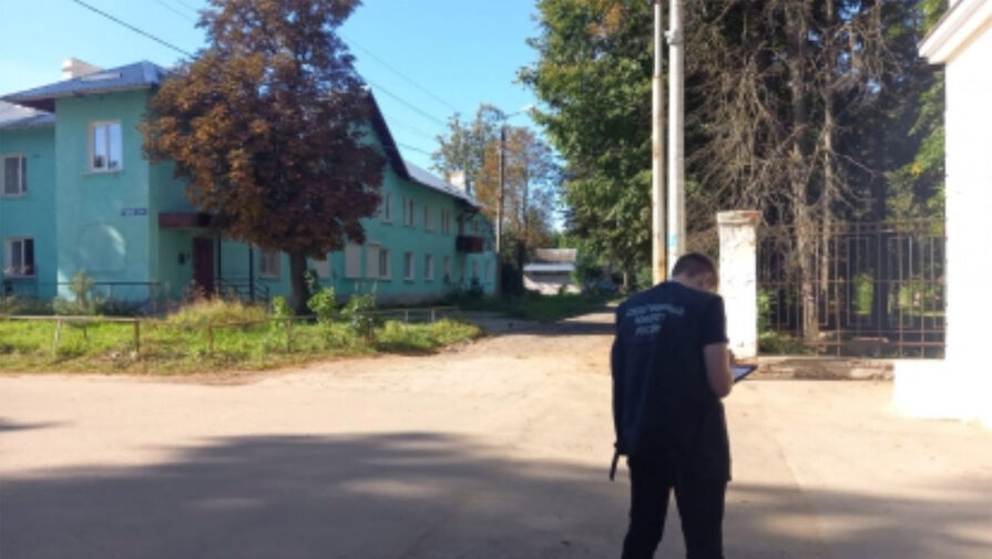 Под Тулой задержали мужчину, убившего сторожа, который помешал ему воровать провода