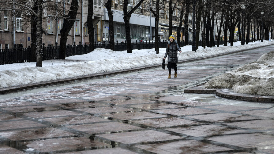 Синоптики рассказали, когда в Москву придет климатическая весна