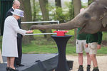 Королева Великобритании Елизавета II с герцогом Эдинбургским Филиппом кормят слоненка Елизавету в Уипснейдском зоопарке