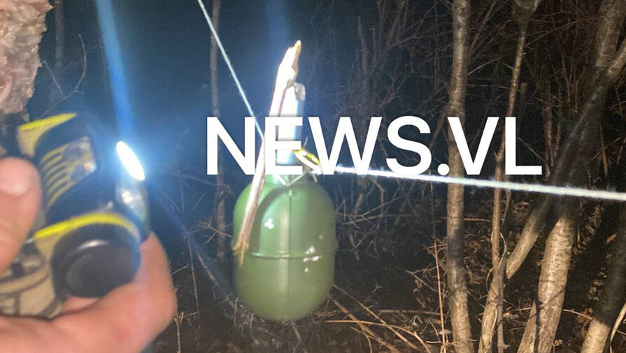Во Владивостоке за неделю нашли две гранаты