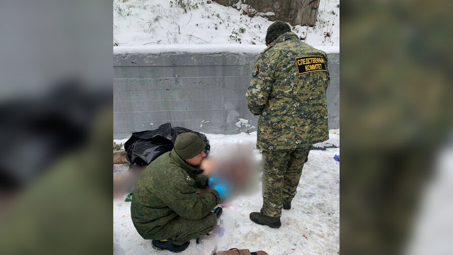 МВД: подозреваемого в убийстве женщины на юго-западе Москвы задержали под Тамбовом