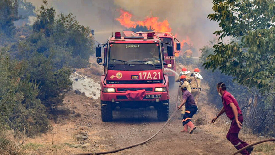 В турецкой Анталье тушат лесной пожар в районе, где находятся отели