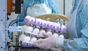 ������ ������� �� ��������� ��� ��� �������� ������. ��� ��� �� ����