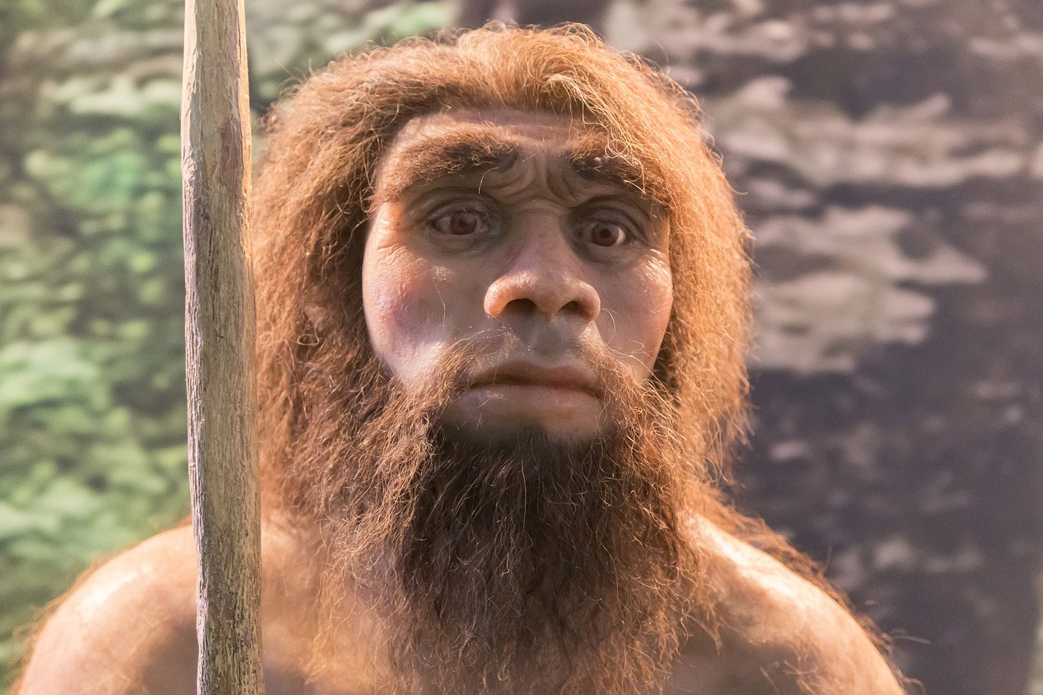«Почему неандертальцы были вытеснены современными людьми-кроманьонцами?» — Яндекс Кью