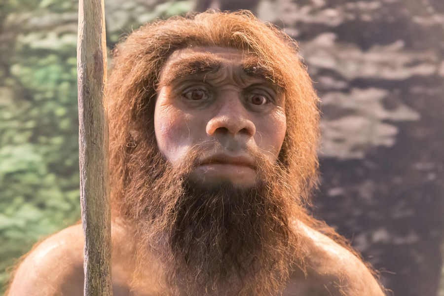 Генетики выяснили, какие народы России больше похожи на неандертальцев -  Газета.Ru | Новости